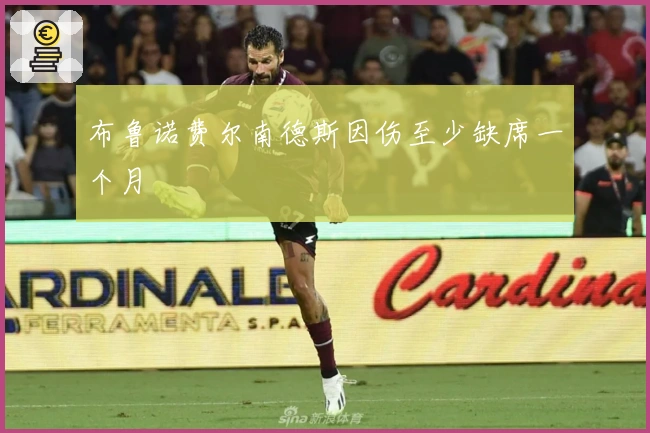 布鲁诺费尔南德斯因伤至少缺席一个月